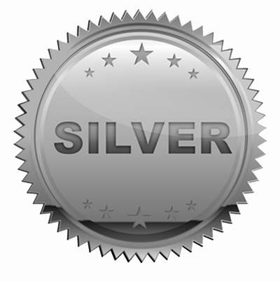 Silver-Icon